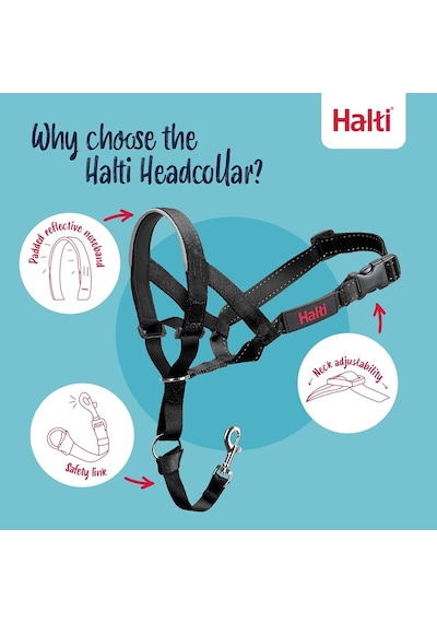 Şirket Hayvanlarının Halti Köpek Halter, Boyut 2 35-48 Cm , Siyah Genel