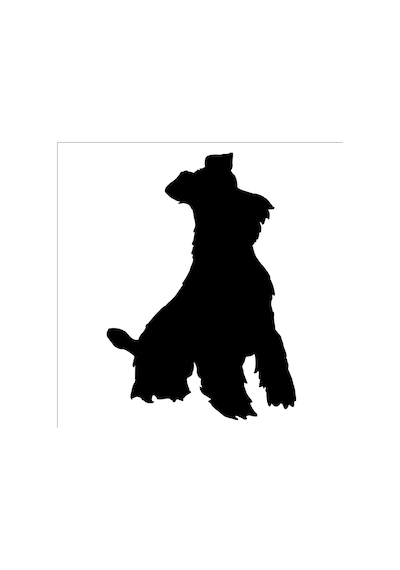 Köpek Folyo Sticker Derstv888 80cm Uzunluk Siyah