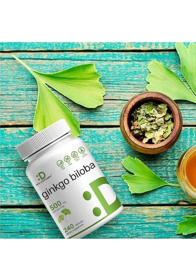 Ginkgo Biloba 500mg Per Serving, 240 Capsules