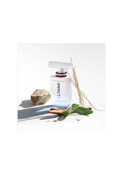 Tommy Hilfiger Impact Together Erkek Parfüm EDT 50 ML