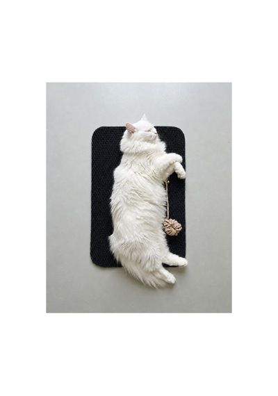 Kedi Tırmalama Paspası Çıngıraklı Toplu Oyun Halısı Kedi Yatma Dinlenme Alanı Tırmalama Matı Ev İçi Kedi Oyuncağı