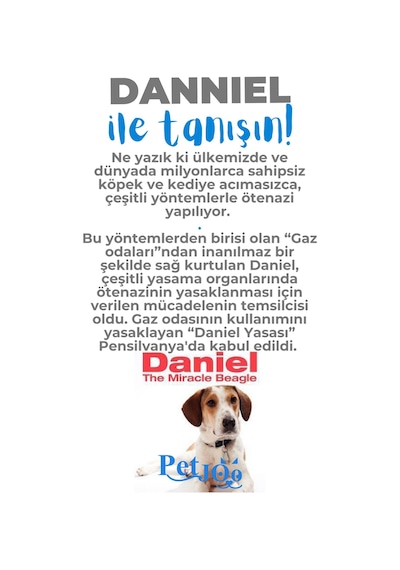 Petjoo 21.Danniel Mavi-Gri Qr'lı Köpek Künyesi