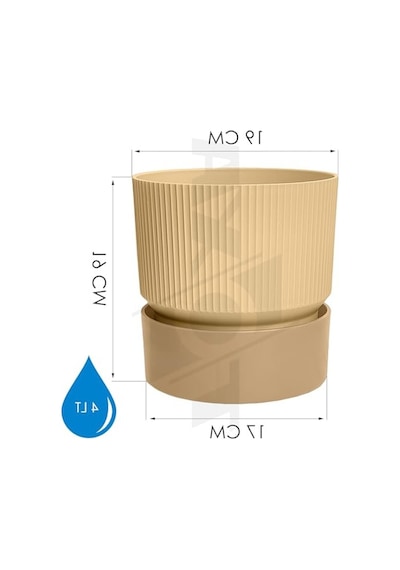 Ixora Saksı 4, Karışık, 4 Litre