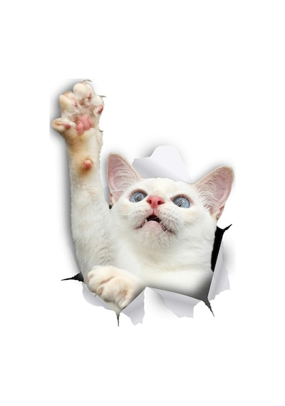 Sevimli Beyaz Yavru Kedi Araba Leptop Sticker Yapıştırma 18Cm