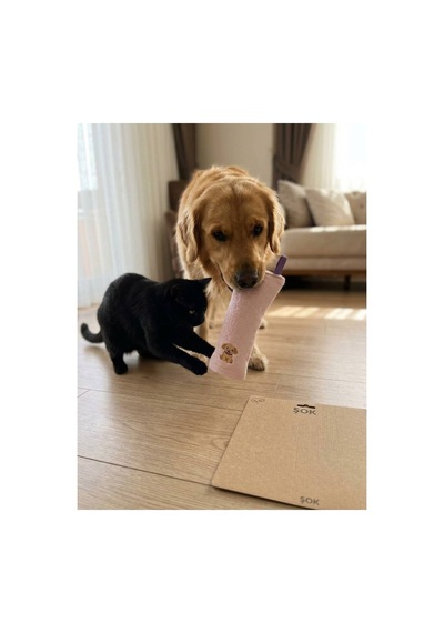 Kedi Köpek Oyuncağı Peluş Köpek Baskılı, Yumuşak Kumaşlı Hışırtılı Oyuncak Ekru - 937533434