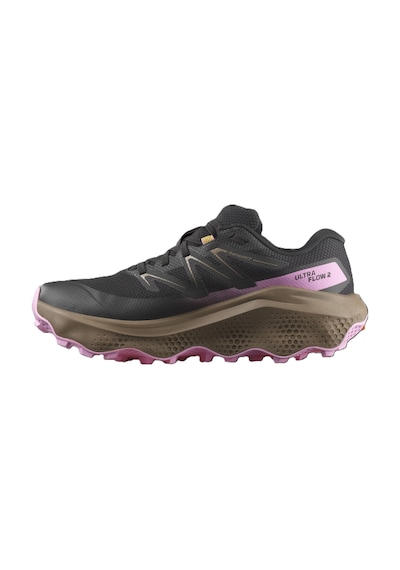 Salomon Ultra Flow 2 Gtx Kadın Ayakkabısı L47884400 Çok Renkli