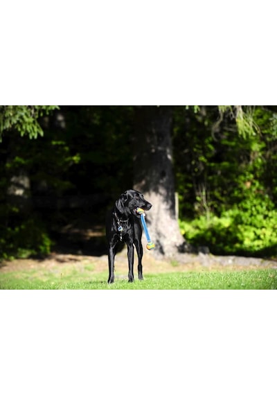 Chuckit Ultra Duo Tug 2'li Köpek Çekiştirme Topu 6.4 CM