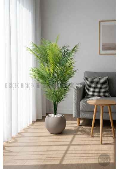 Biçiçek Areka Ağaci 24 Yapraklı 130 Cm Mocha Küre Saksıda