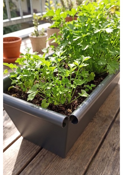 Metal Dikdörtgen Balkon Saksılığı - 53 Cm Paslanmaz Galvaniz Dekoratif Yatay Çiçeklik Antrasit