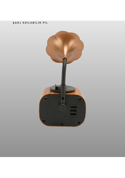 Taşınabilir Mini Retro Radyo Bluetooth Hoparlör Usb Sd Aux Destekli Tech