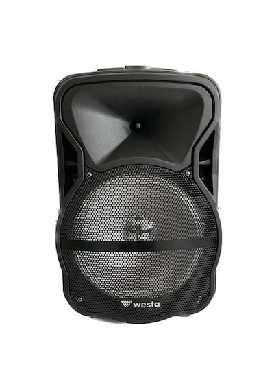 Westa WAP-1053E 10 inc 1 El Aktif Hoparlör