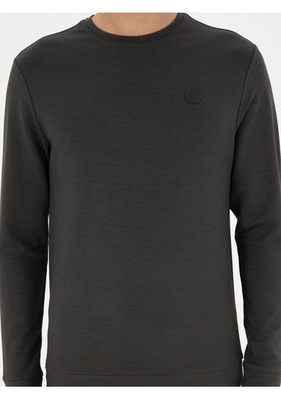 Antrasit Regular Fit Bisiklet Yaka Sweatshirt Gri