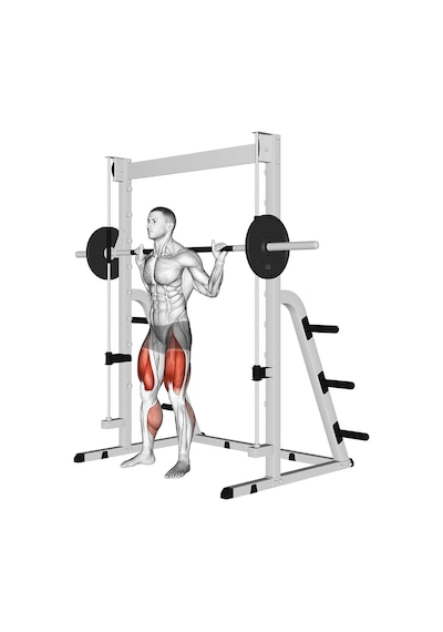 Max Life Smith Machine Çalışma İstasyonu