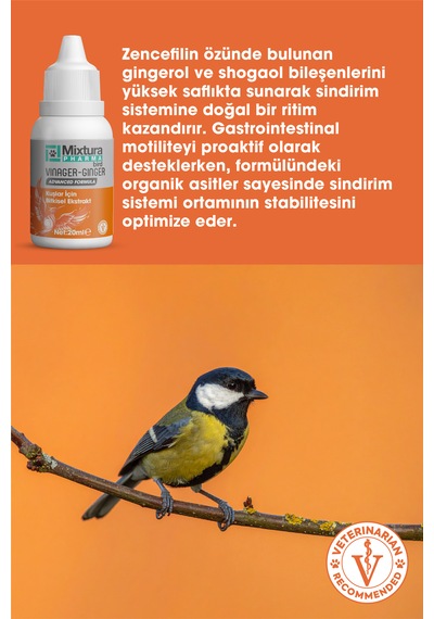 Mixtura Pharma Bird Vınager-gınger