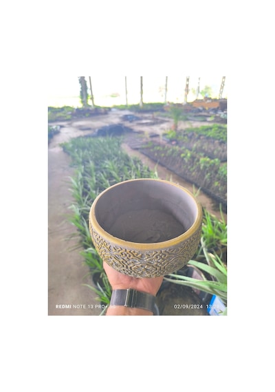 Altın Desen Beton Bonsai Aranjman Ve Orkide Saksısı