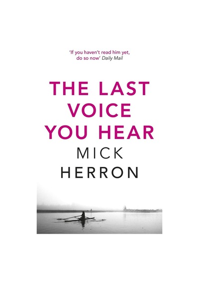 The Last Voice You Hear - Zoë Boehm Thrillers
