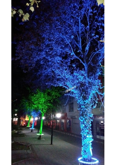 Palmiye Ağaç Aydınlatma Işık Boyama Led 35Cm Diğer