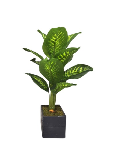 Difenbahya Gerçek Dokulu Yapay Ağaç 130 Cm Doğal Ahşap Saksılı Standart