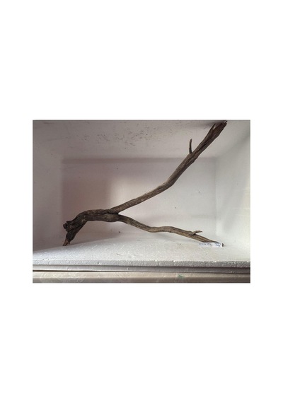 Red Welt Wood No:200603 55x7x39h