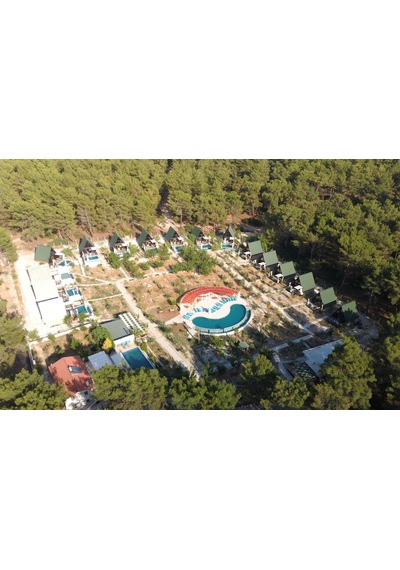 Masifev Stella 70M2 2+1 Dev Üçgen Ahşap Ev