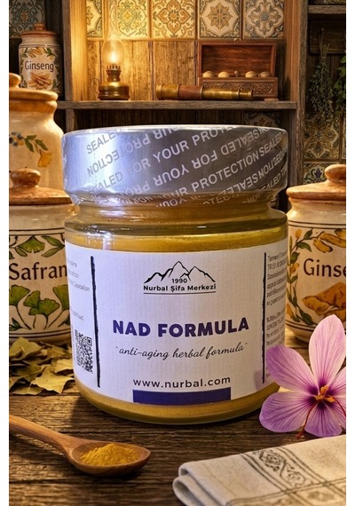 Nurbal Şifa Merkezi Nad Formula 120 G