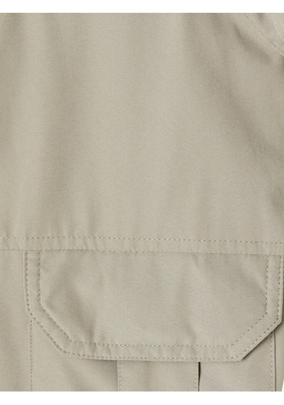 Lcwaıkıkı Classic Bej Regular Fit Dik Yaka Erkek Yelek
