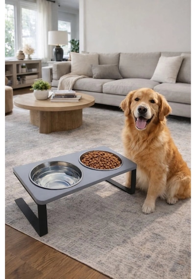 Reyo Ok-ay Store Radessa Xl Yüksek Standlı Çift Hazneli Mama Ve Su Kabı, Büyük Ve Orta Boy Köpek Ve Kedi Su Kabı Paslanmaz Çelik Gri