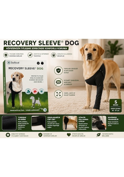 Suitical Recovery Sleeve Dog S Beden Köpek Koruyucu İyileşme Kolluğu