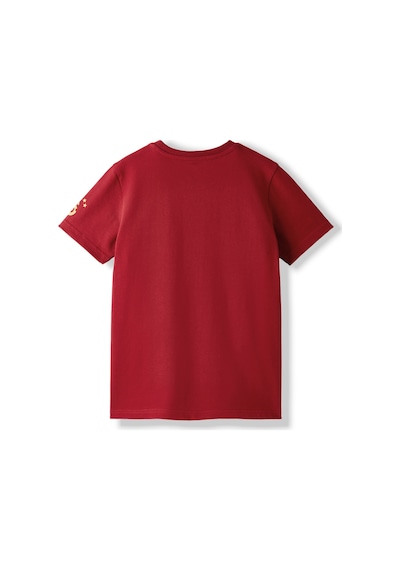 Gsstore Galatasaray Çocuk T-shirt C252097 Bordo