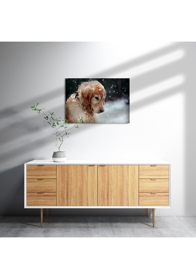Cakasepetim Golden Retriever Ve Kar Taneleri Ahşap Mdf Tablo