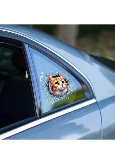 Fulcar Sarman Araç Stickerı Çok Renkli