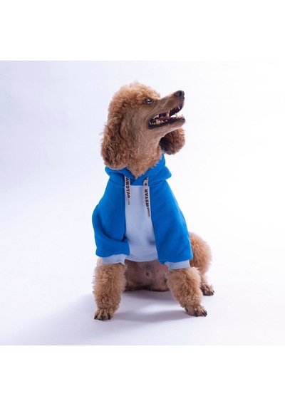 Mavi Vermont Autumn Köpek Hoodie Köpek Sweat Köpek Kıyafeti Kedi Kıyafeti