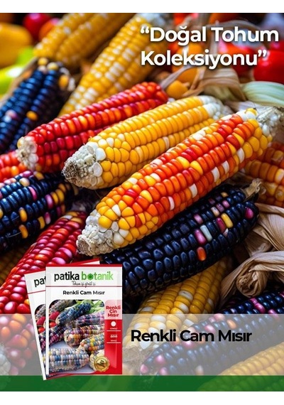 15 Adet Doğal Renkli Cam Mısır Tohumu