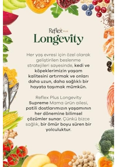Plus Longevity Mini Ve Küçük Irk Yavru Köpek Sı 1700g 100 G