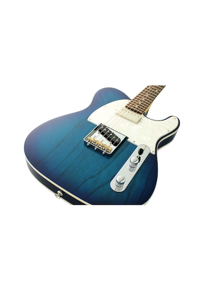 Fujigen Telecaster Elektro Gitar Nte210rahsbb