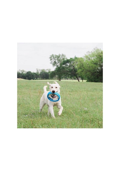 Rugged Fetch Wheel Ekstra Dayanıklı Köpek Oyun Halkası