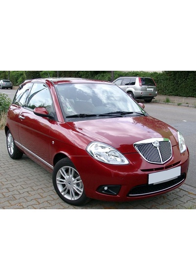 Yyo Lancia Ypsilon Bagaj Amortisörü 2006-2011 2 Adet