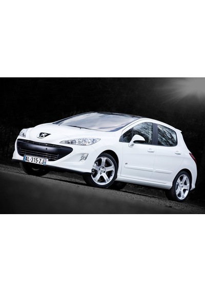 Coil-Ex Peugeot 308 09.2007 Sonrası Spor Yay 30 - 30 Mm