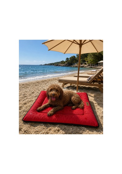Kedi Ve Köpek Yer Minderi Outdoor Su Geçirmez Üst Kalite Tüy Ve Leke Tutmaz Boncuk Elyaf Kaydırmaz Taban Kedi Ve Köpek Yatağı Kırmızı 1713637922 Kedi Ve Köpek Yer Minderi Outdoor Su Geçirmez Üst Kalite Tüy Ve Leke Tutmaz Boncuk Elyaf Kaydırmaz Taban Kedi Ve Köpek Yatağı Kırmızı 1713637922