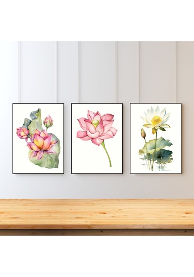 Suluboya Lotus Çiçeği 3'lü Japon Çiçek Çerçevesiz Poster 15x21