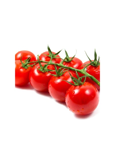 Cherry Domates Tohumu Saksılık 10 Tohum +Saksı+Toprak+ Tohu
