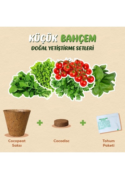 Küçük Bahçem Roka Tohumu Yetiştirme Seti