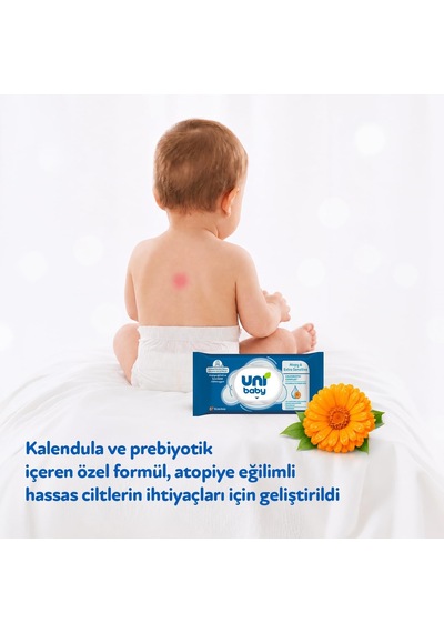 Atopy & Extra Sensitive Islak Mendil 1x40 1000'li Set