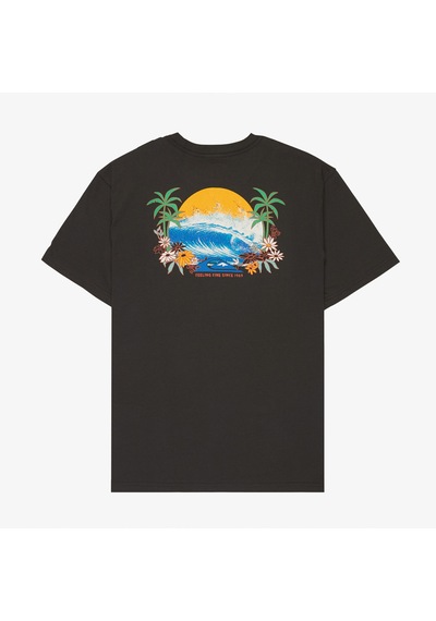 Quiksilver Fruits Tide Erkek Gri T-shirt Eqyzt08285