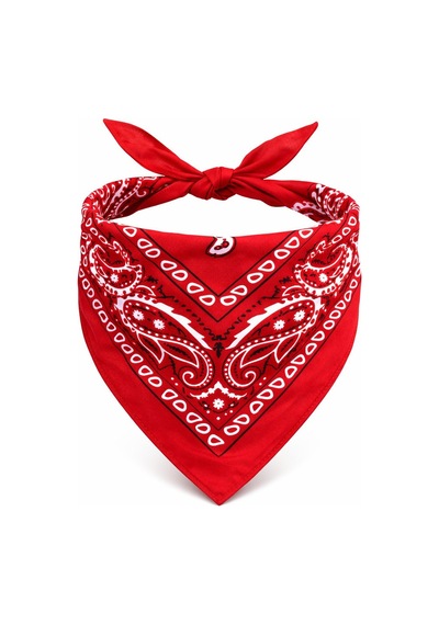 Linabloom Kırmızı Kovboy Fuları Çocuk Bandana Western Desenli Boyun Fuları