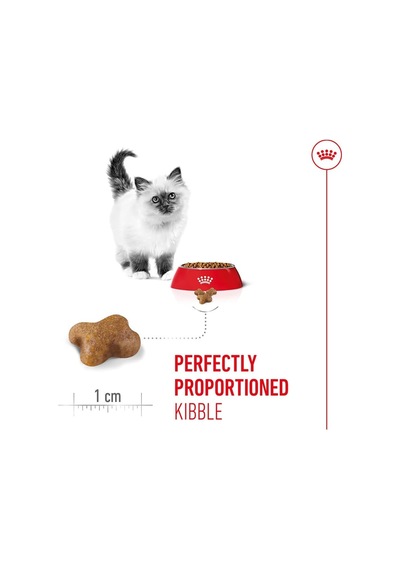 Kitten Yavru Kedi Maması, 400 Gr