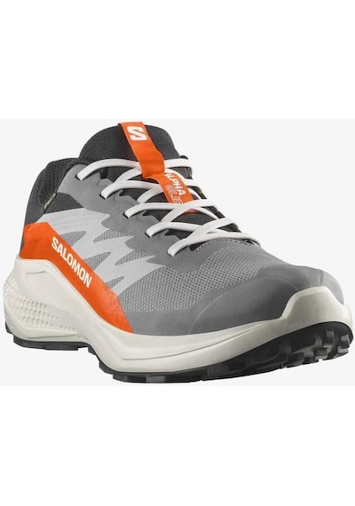 Salomon Alphaglıde Gore-tex Casrlerock Lunar Rock Erkek Koşu/spor Ayakkabısı Gri