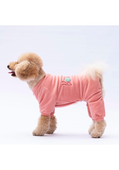 Pawstar Rose Bonjour Kadife Küçük Irk Köpek Tulumu