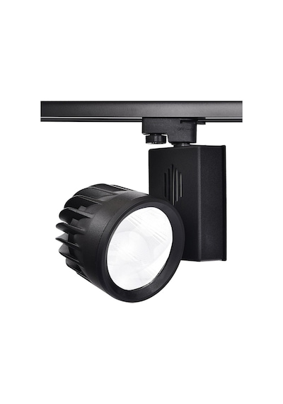Philips Ledli 30W Trifaze Siyah Ray Spot 12cm Beyaz Işık 6500K