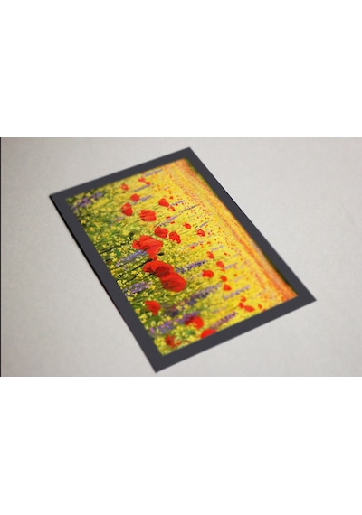 Ahşap Kendinden Çerçeveli Tablo -yag Lı Boya Gelincik C İc Eg İ Bahc Esi, Standart - 20x28cm